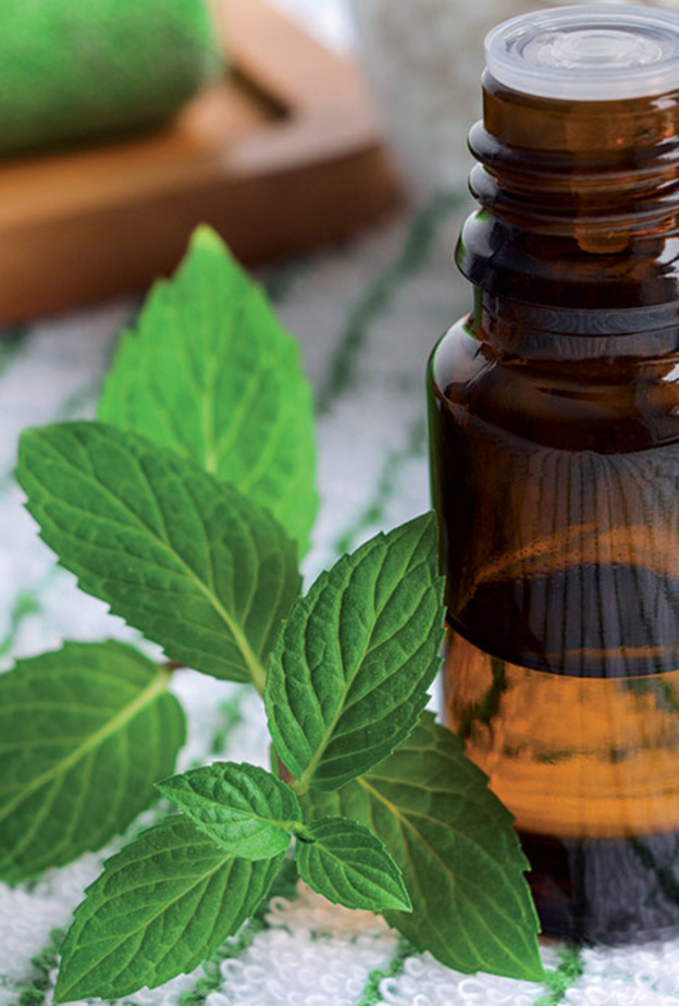 زيت النعناع يسكن الآلام