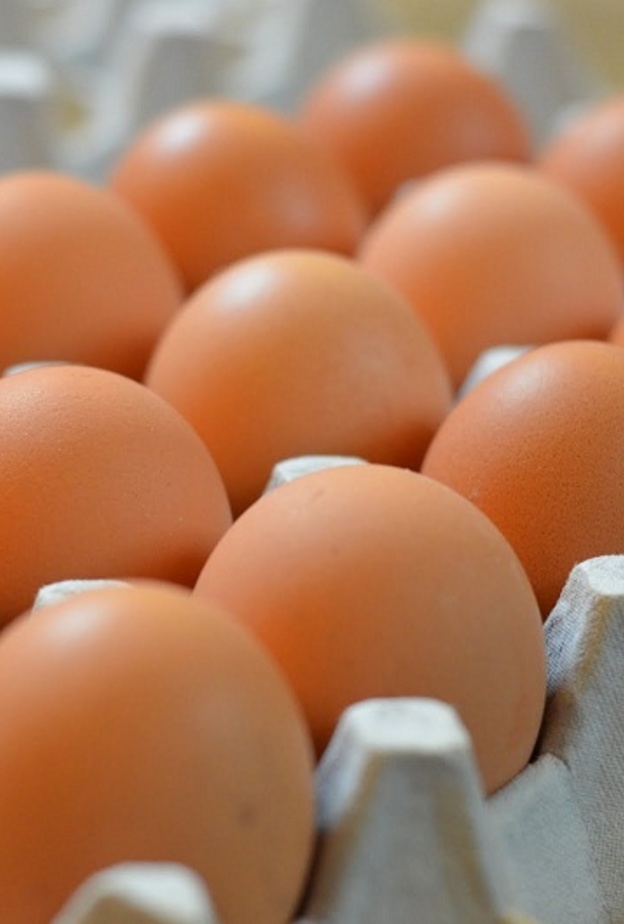 البيض غني بفيتامين د