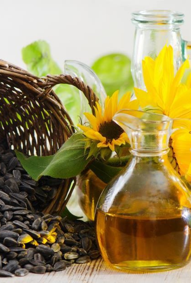 زيت دوار الشمس معزز لمناعة الجسم