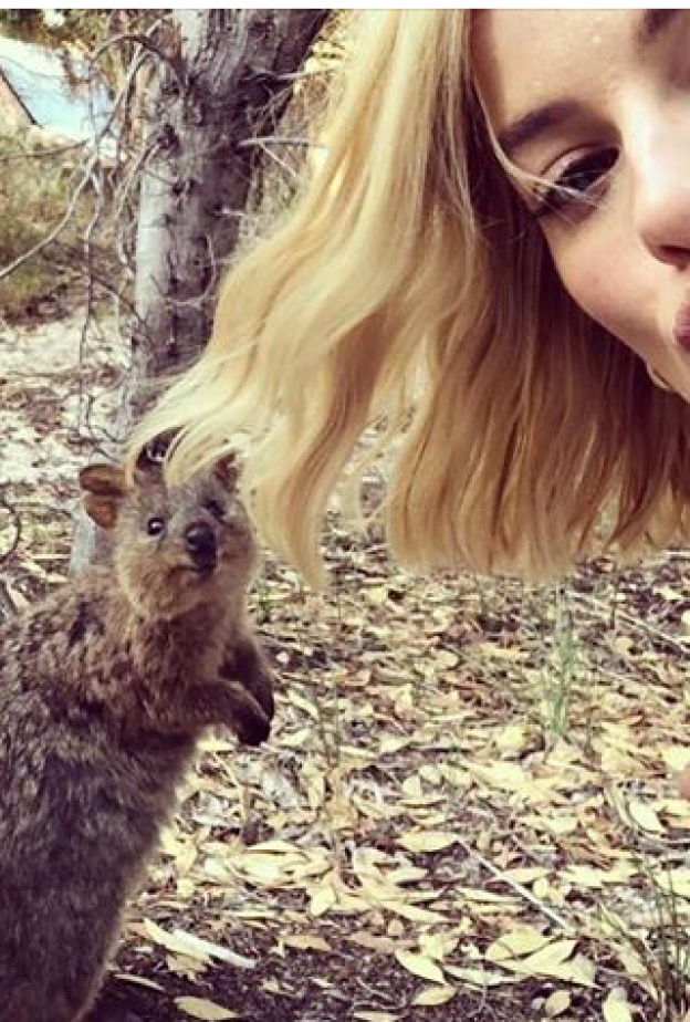 مارغوت روبي بصورة ظريفة مع حيوان الكوكا الأسترالي