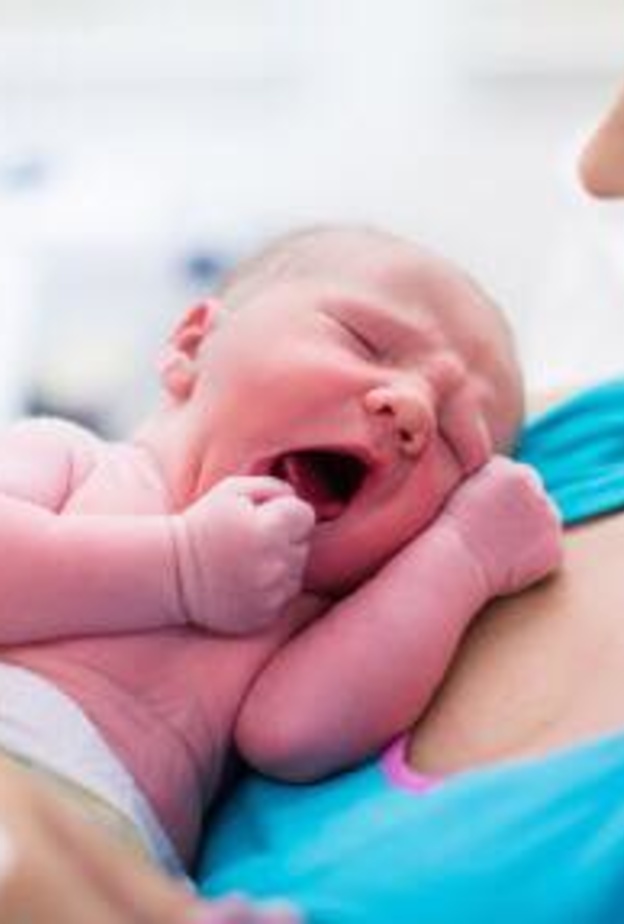 الاطعمة المفيدة للنفاس 