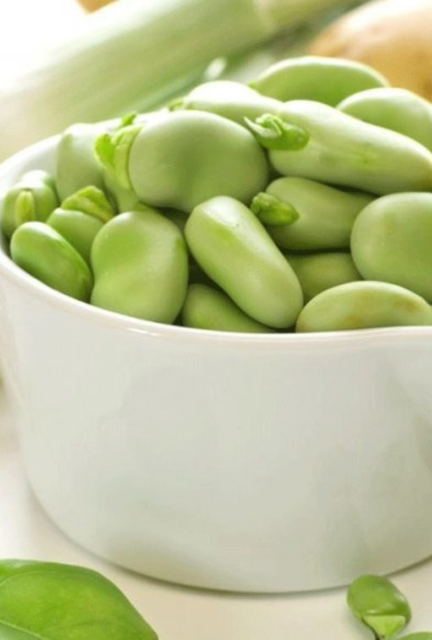 الفول الأخضر يعزز مناعة الجسم