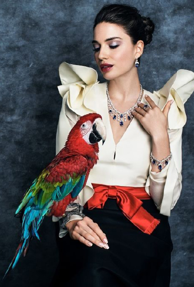 طقم من بلغاري