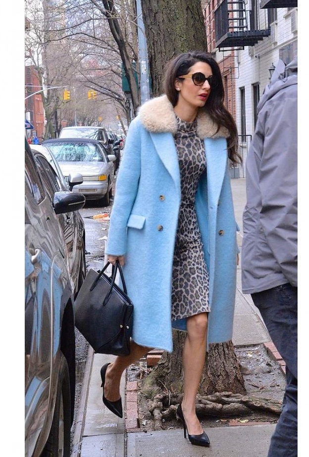 امل كلوني ترتدي نقشات النمر مع المعطف الازرق