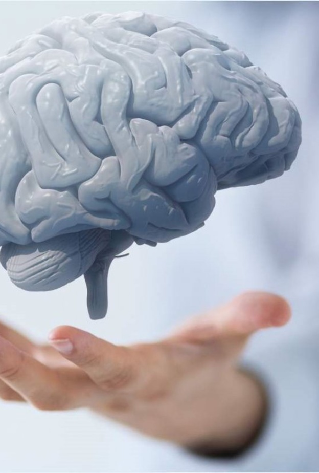 نمط الحياة الصحي يجدد خلايا المخ