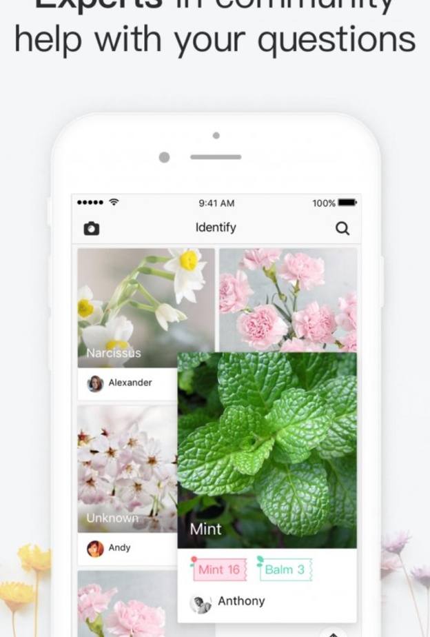 تطبيق Picturethis يمكنكم من معرفة انواع الاشجار و النباتات عن طريق تصويرها فقط بواسطة الكاميرا