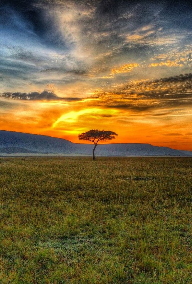 لعيش اسلوب الحياة البرية خلال شهر العسل في كينيا - Muthaiga Safari Camp مخيم موثايغا سفاري