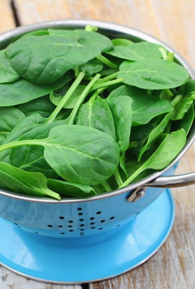 يساعد السبانخ على بناء العضلات بفضل محتواه العالي من الحديد