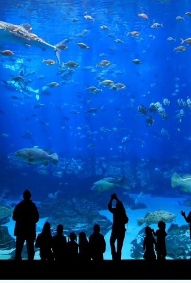 حديقة Polonezkoy Hayvanat Bahcesi 