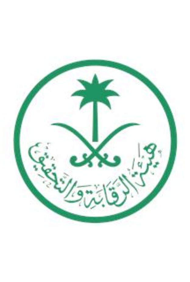 هيئة الرقابة والتحقيق 