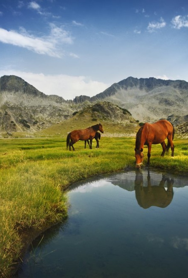  من مسرح بلوفديف الروماني.