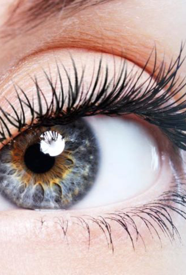 زراعة القرنية عملية تحتاج إلى عناية خاصة بعدها