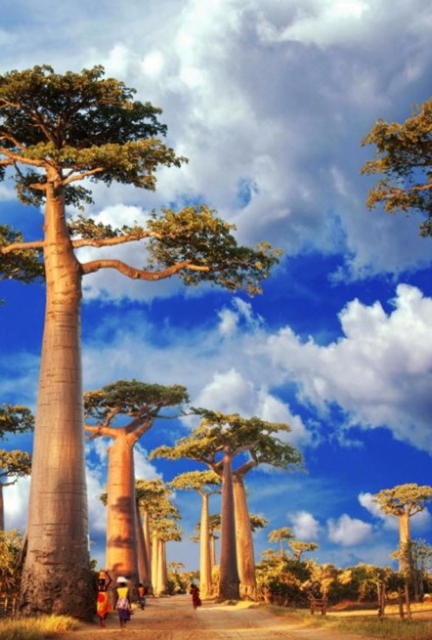 مدينة أنتاناناريفو عاصمة مدغشقر