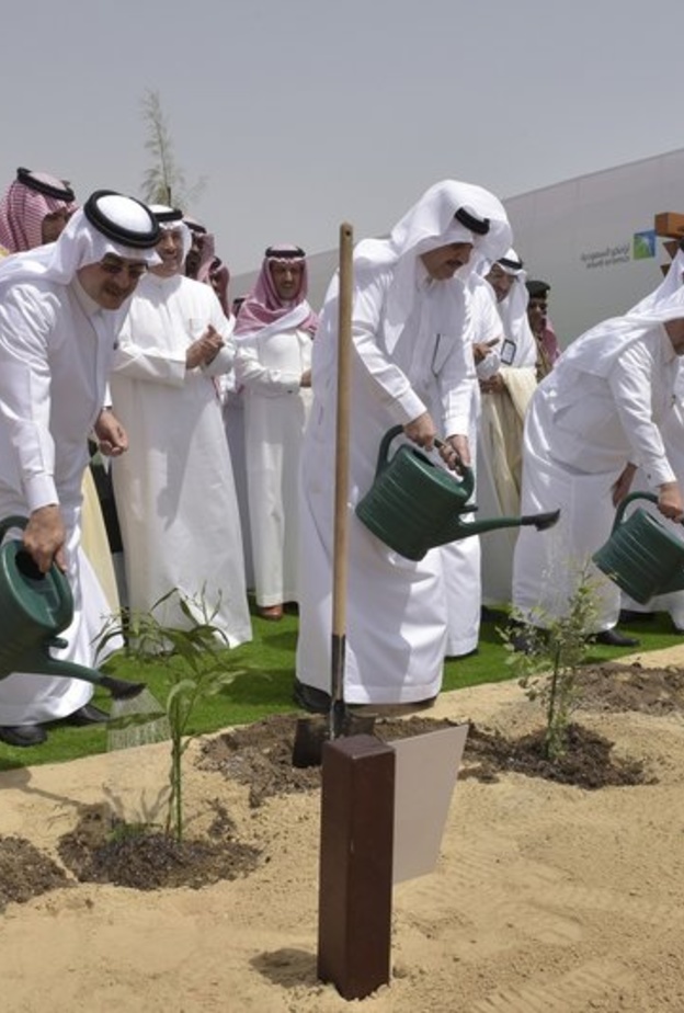 انطلاق مبادرة زراعة مليون شجرة في المنطقة الشرقية