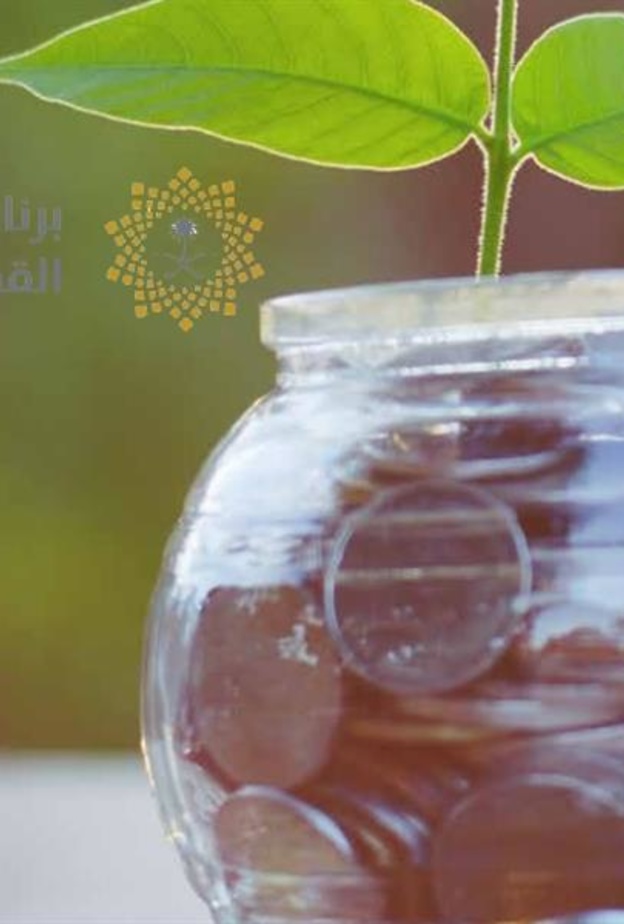 تقديم خطط ادخار للأفراد مدعومة من الحكومة