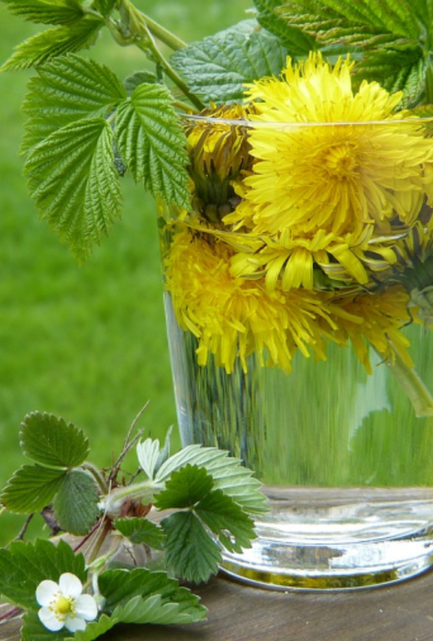 يخلص مشروب الهندباء والنعناع الجسم من السموم في رمضان