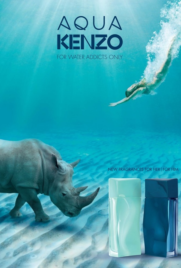 "كينزو أكوا"  لها