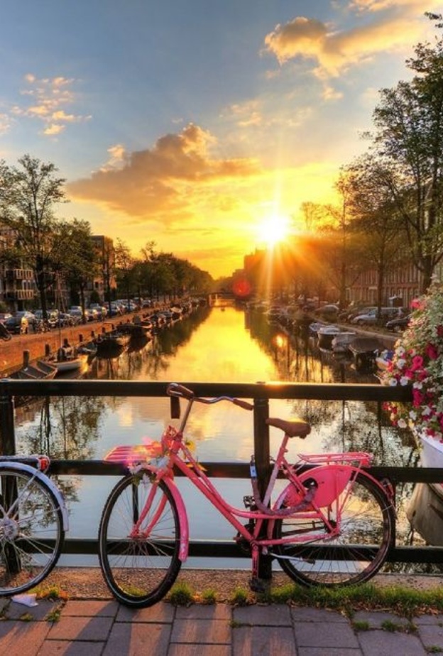 روتردام هولندا ح افضل اماكن سياحية لشهر العسل