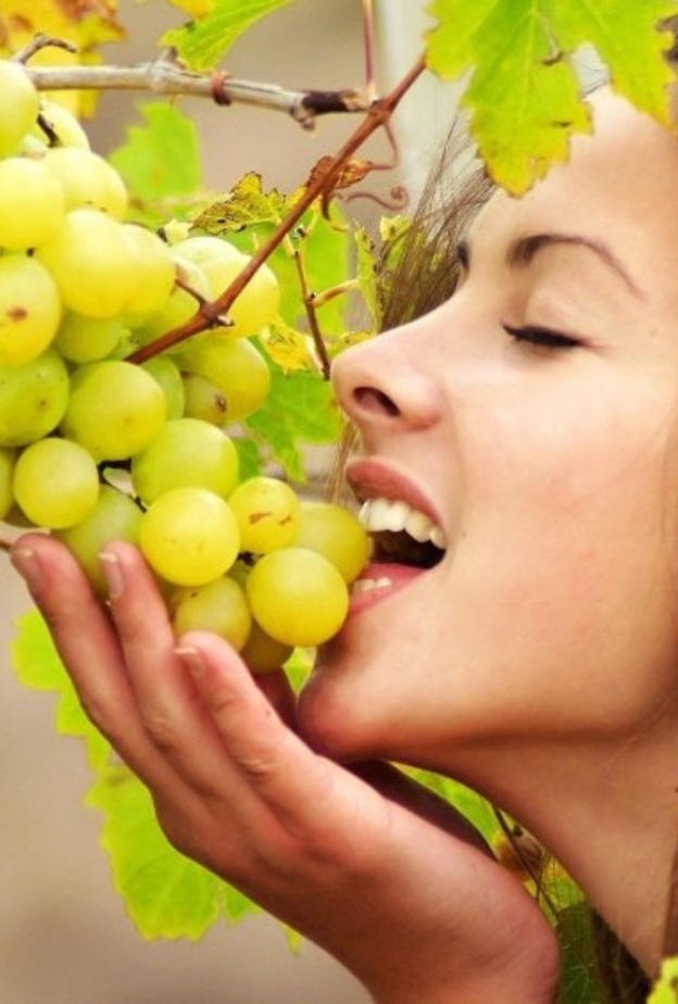  يحمي ورق العنب المجفف الجسم من استعادة الوزن المفقود