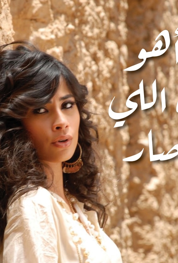 مسلسل أهو ده اللى صار
