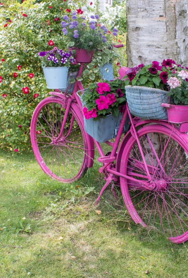 ديكور حديقة منزلية من أحواض النباتات