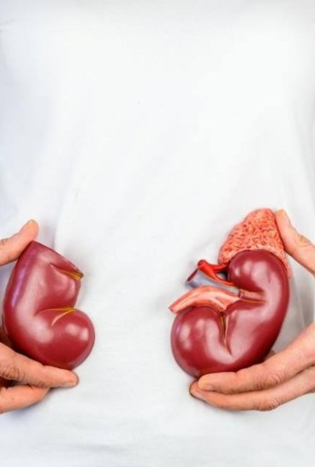 عملية زراعة الكلى من التقنيات الطبية الحديثة