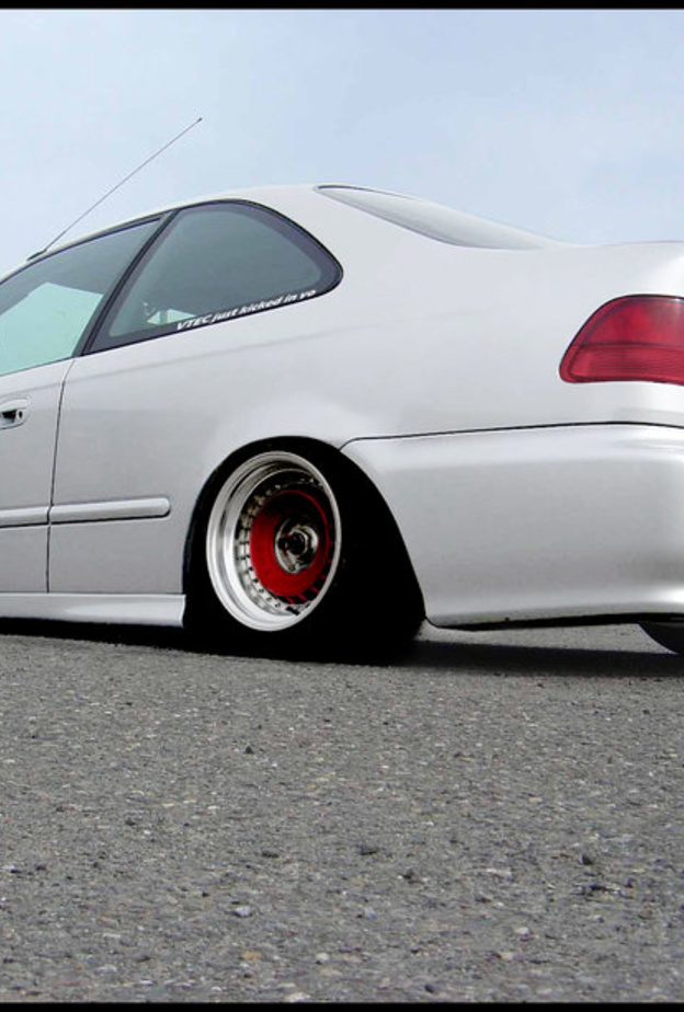 من غير القانوني ربط الكلب على سقف السيارة