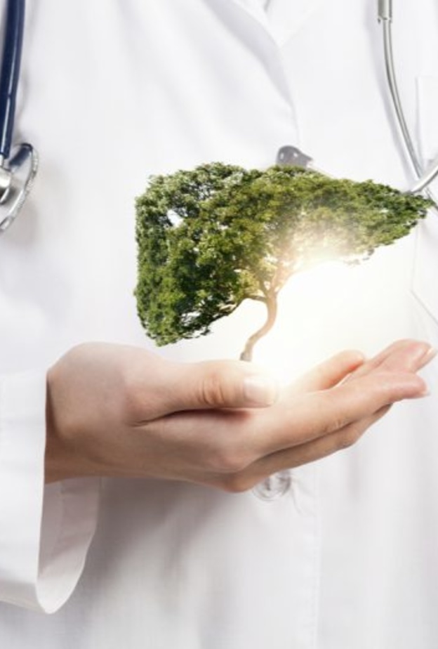 الهواء النقي مهم لصحة الكبد