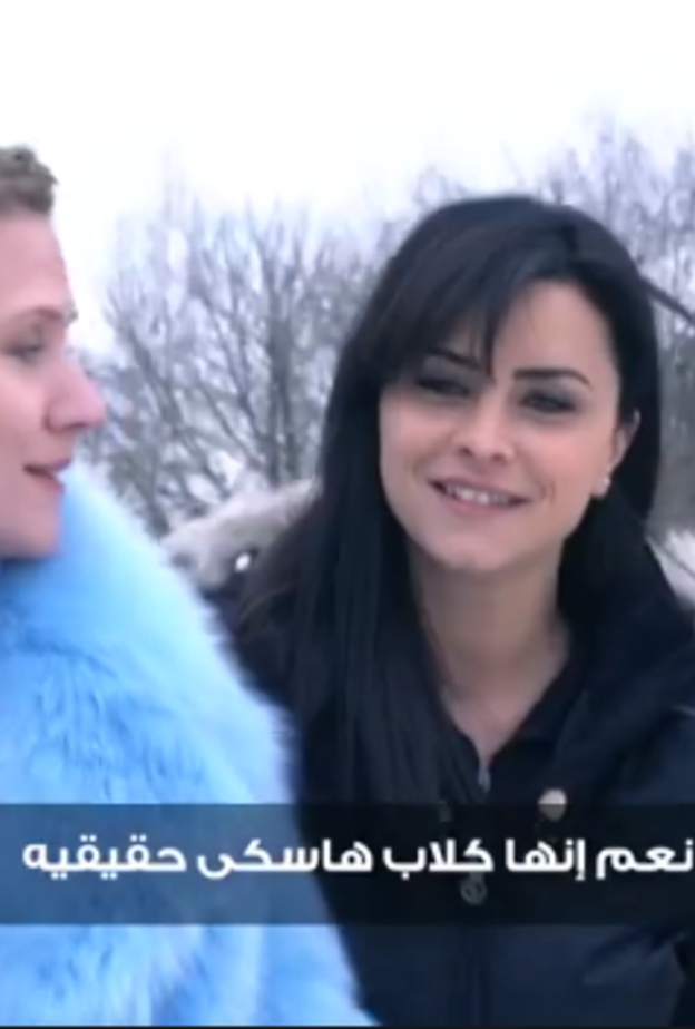 رامز تحت الصفر