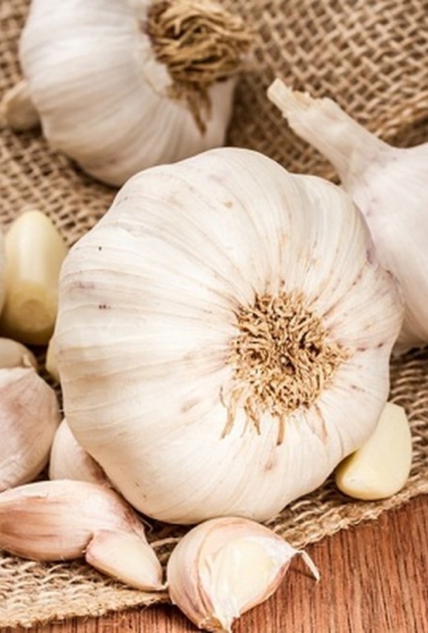 الثوم يساعد في علاج التهابات المعدة