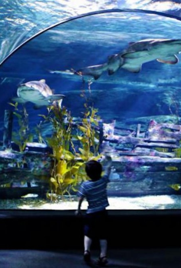 مركز تسوق The Commons