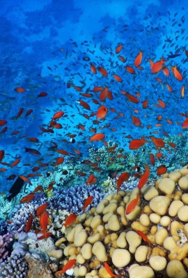 معبد فيلة في أسوان