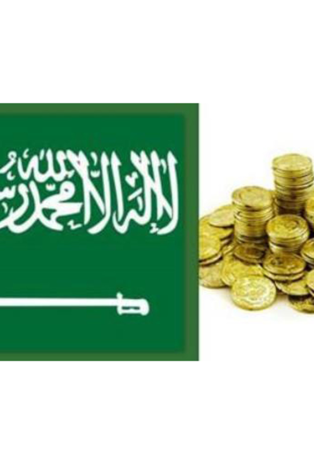 سعوديات بارزات في البنوك والقطاع المالي