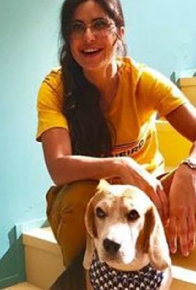  مشاركة طريفة لكاترينا كيف