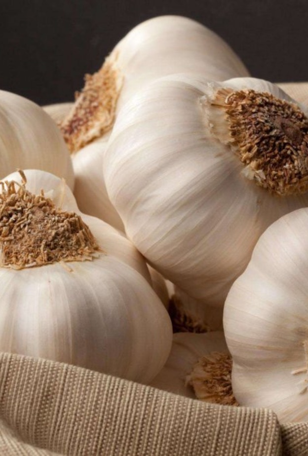 الثوم يقلل من خطر الإصابة بالسرطان