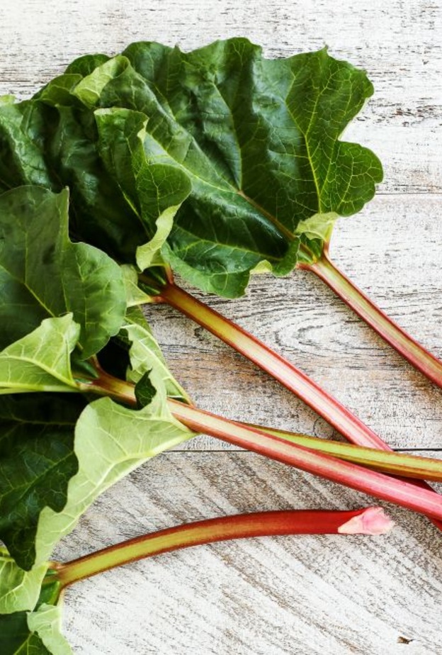  يحتوي الراوند على اغنى العناصر الغذائية من الفيتامينات و المعادن و المركبات العضوية