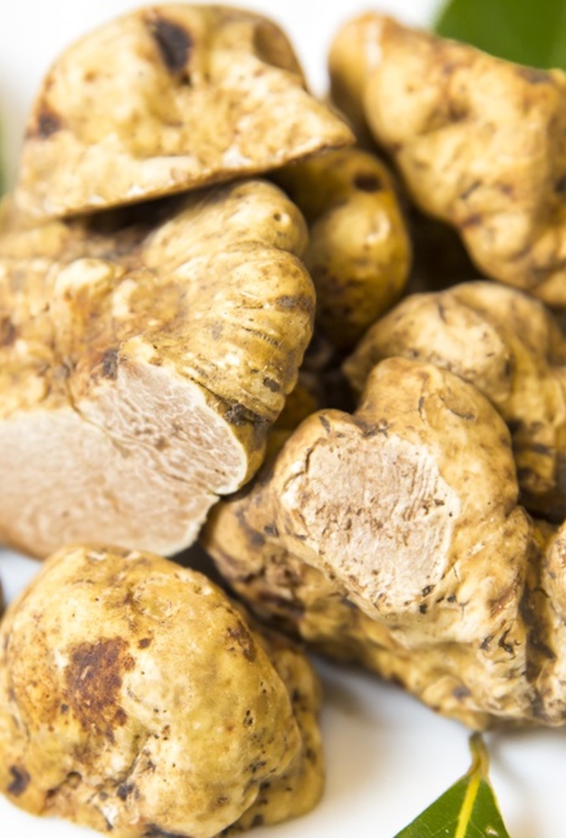 فوائد فطر الكمأة الصحية