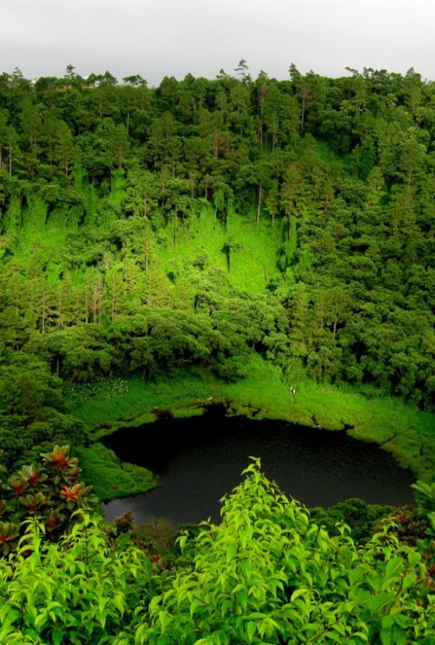 شاطيءIle Aux Cerfs