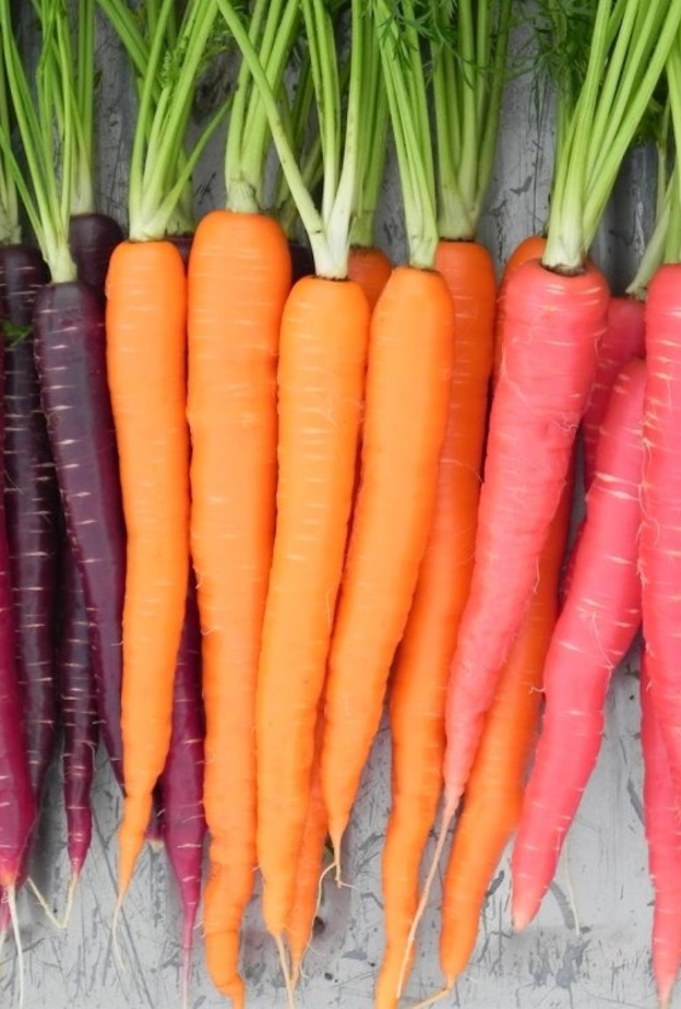 فوائد تناول الجزر يوميا