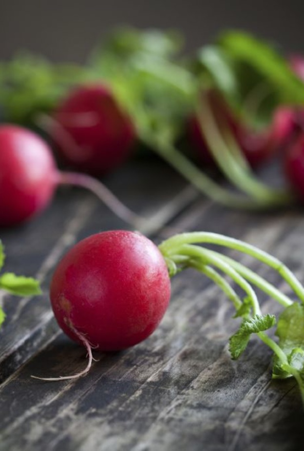 رجيم الفجل قد يساهم في التخلص من الوزن الزائد في وقت قصير 