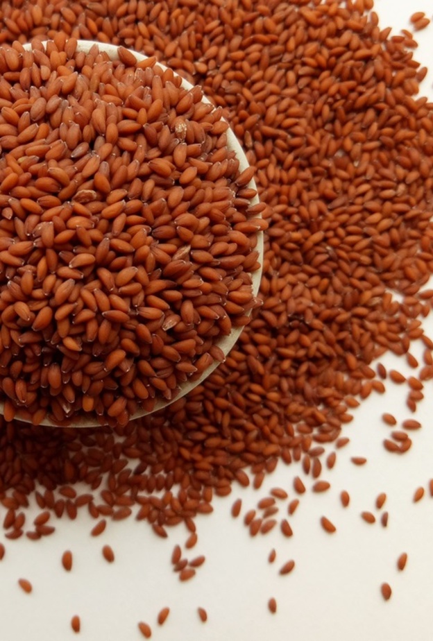 ماهي فوائد حب الرشاد للمفاصل