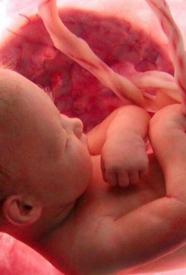 موت الجنين في رحم الام .. ما هي اسبابه ومخاطره