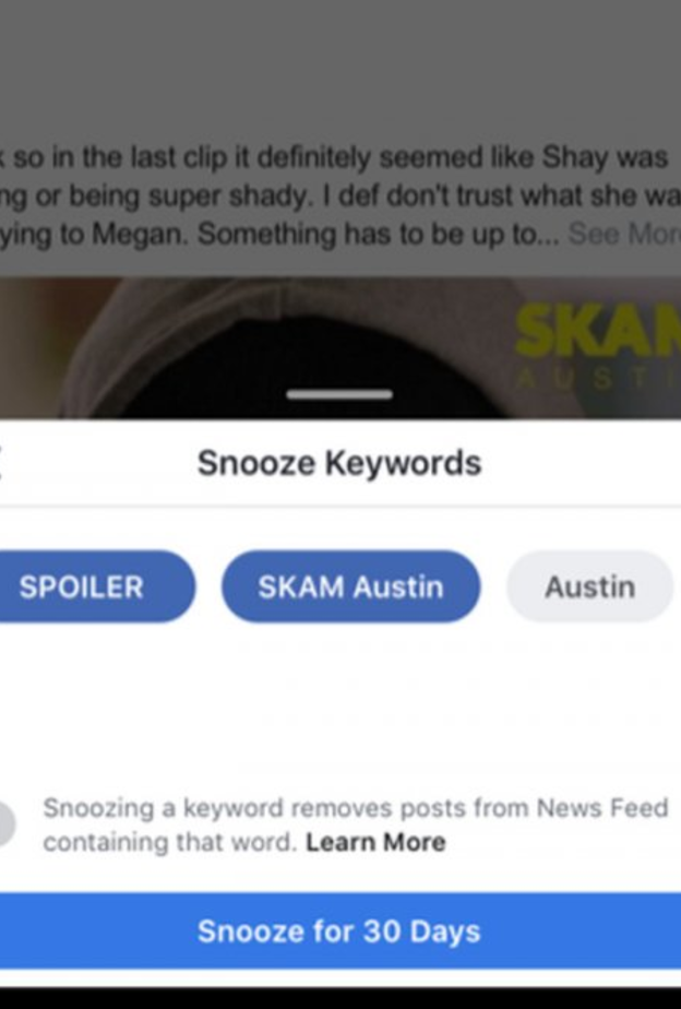Snooze Keyword يجعل كل المشاركات التي تحوي على الكلمات التي أشرت إليها أن تختفي لمدة شهر