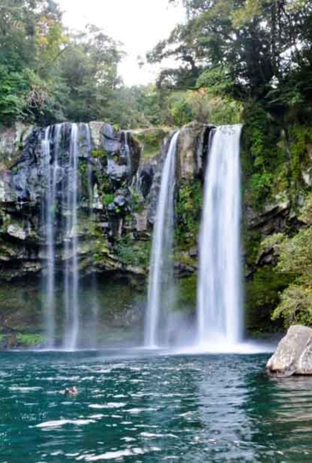 شهر العسل في جيجو كوريا الجنوبية