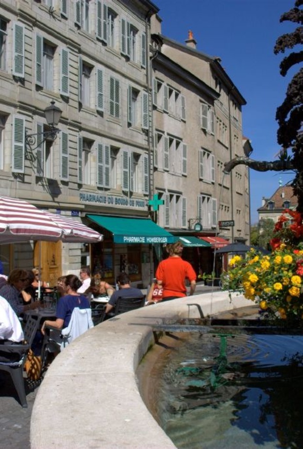 روعة الزهور في الحديقة الإنجليزية