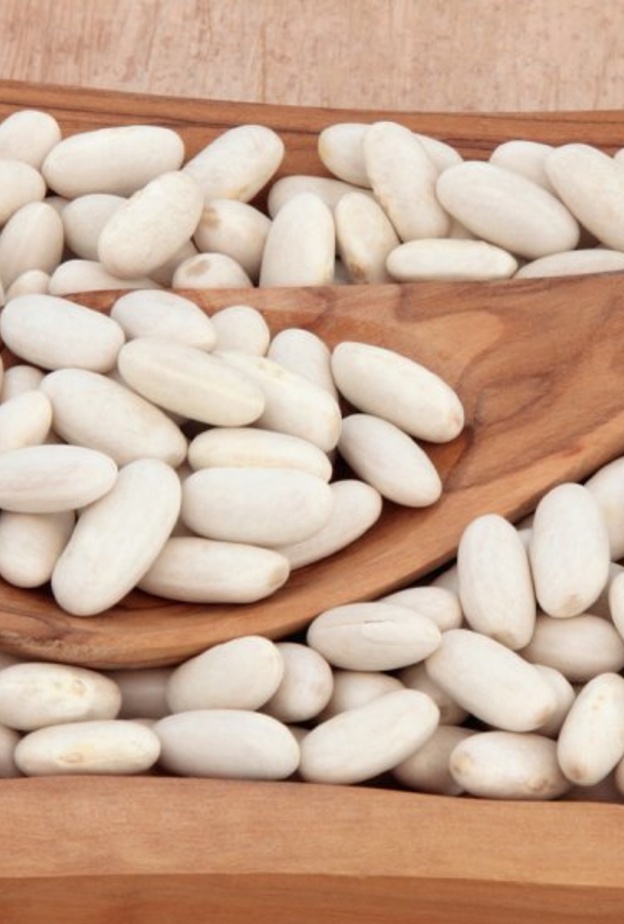 فوائد الفاصوليا البيضاء للرجيم