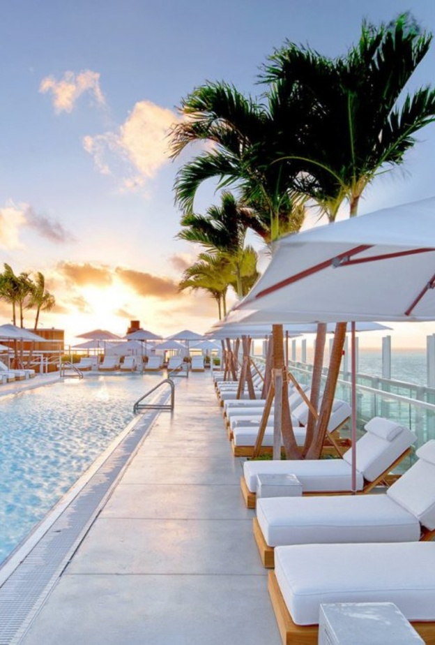 متعة شهر العسل في ميامي.