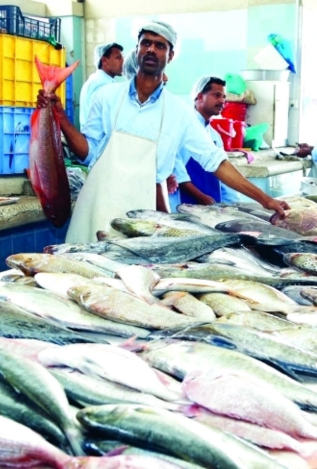 60 % زيادة في أسعار الأسماك بالساحل الشرقي في الإمارات