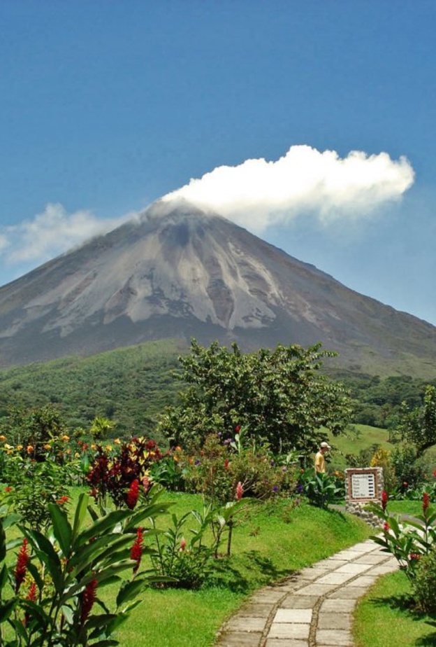 محمية غابة مونتفردي المغيمة في وسط كوستاريكا