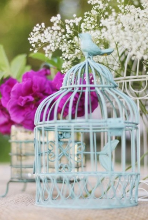 قفص على الواح خشبية